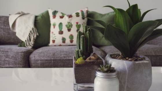 Mastering interior design is a skill that never goes away. Here's how you can start personalizing your home with a designer's eye.
